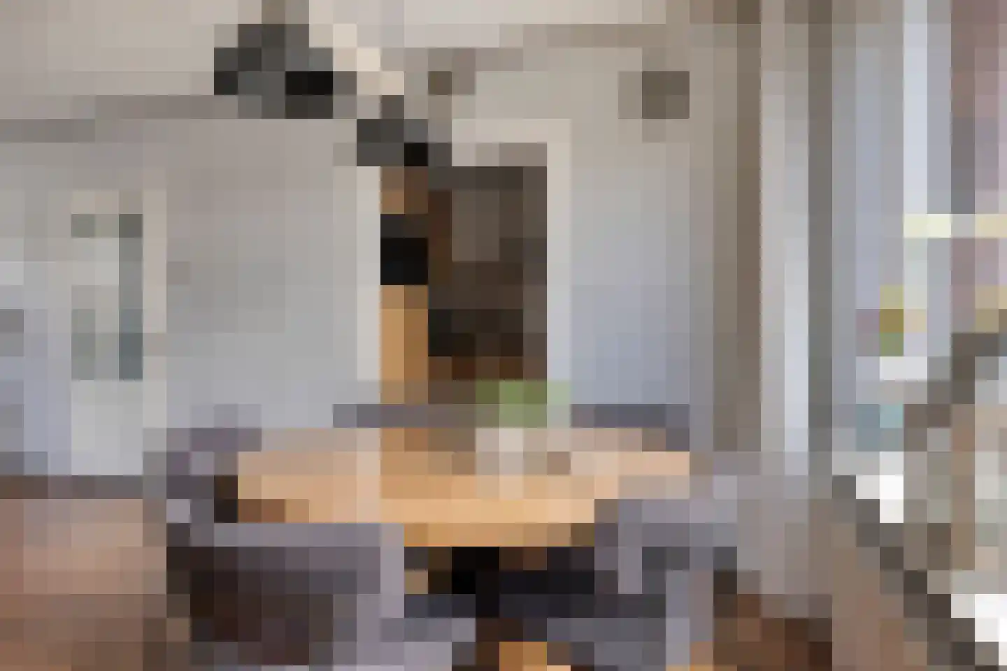 Posthoorn 25 Barger-Compascuum thumbnail 17