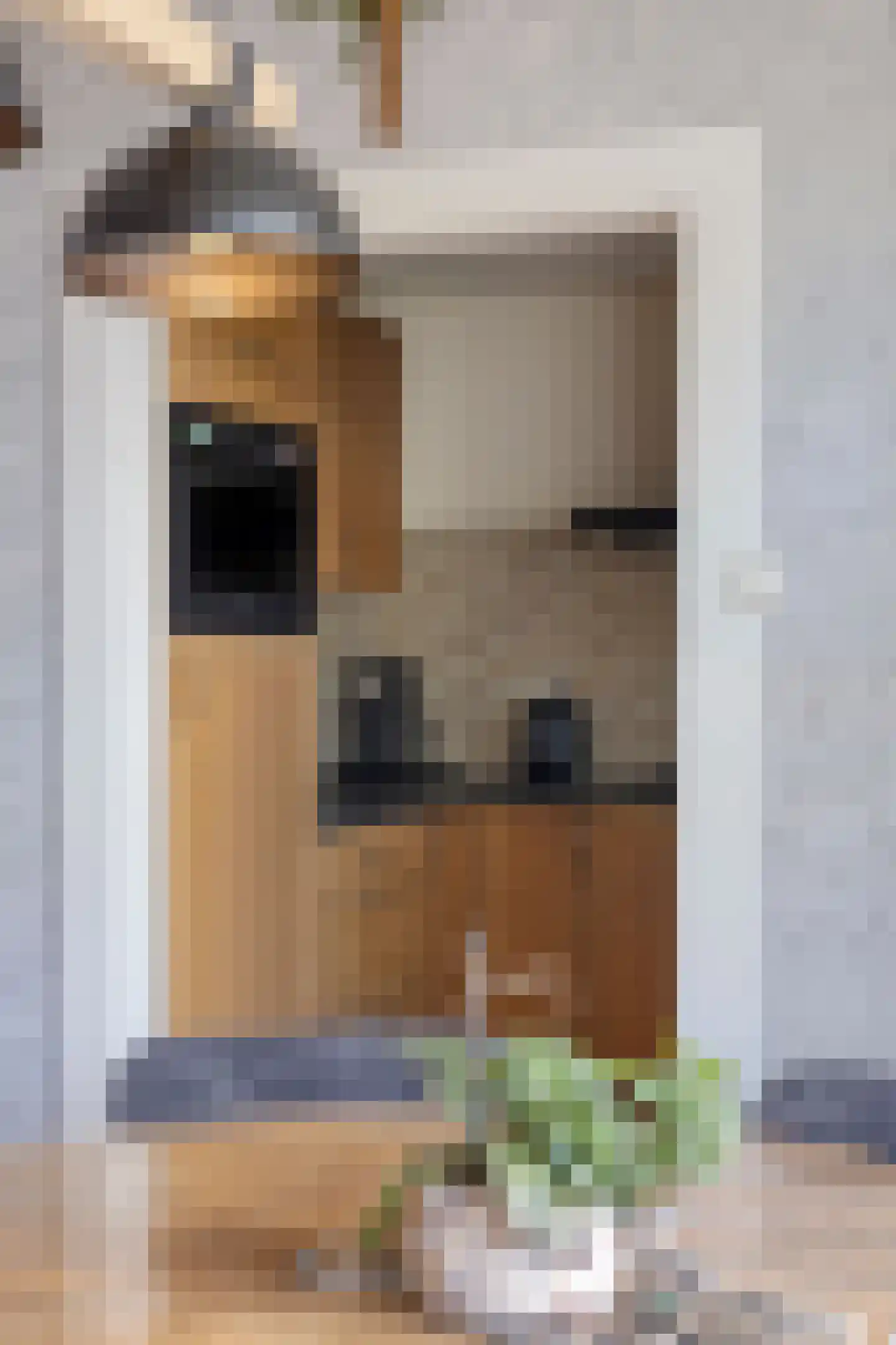 Posthoorn 25 Barger-Compascuum thumbnail 18