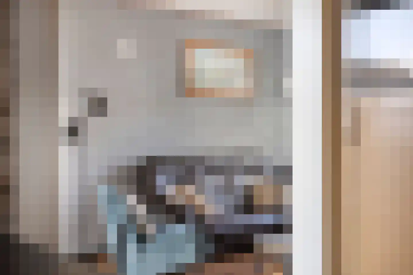 Posthoorn 25 Barger-Compascuum thumbnail 19