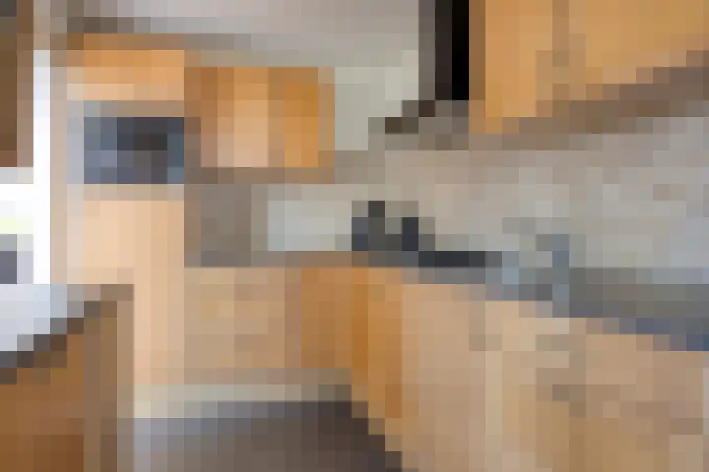 Posthoorn 25 Barger-Compascuum thumbnail 20