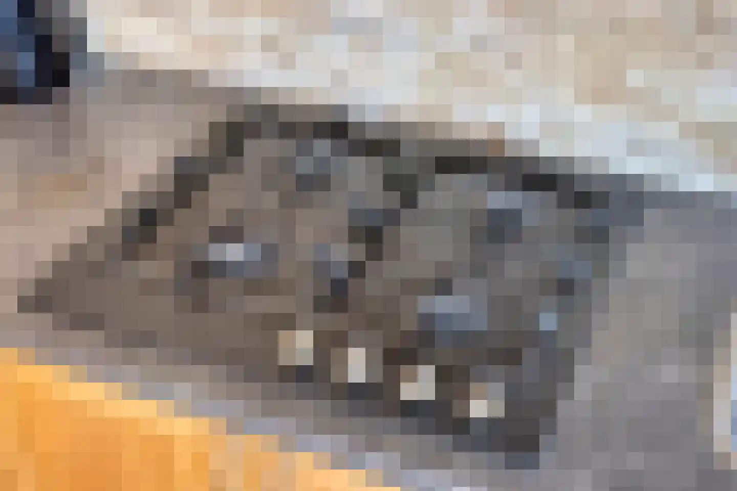 Posthoorn 25 Barger-Compascuum thumbnail 22