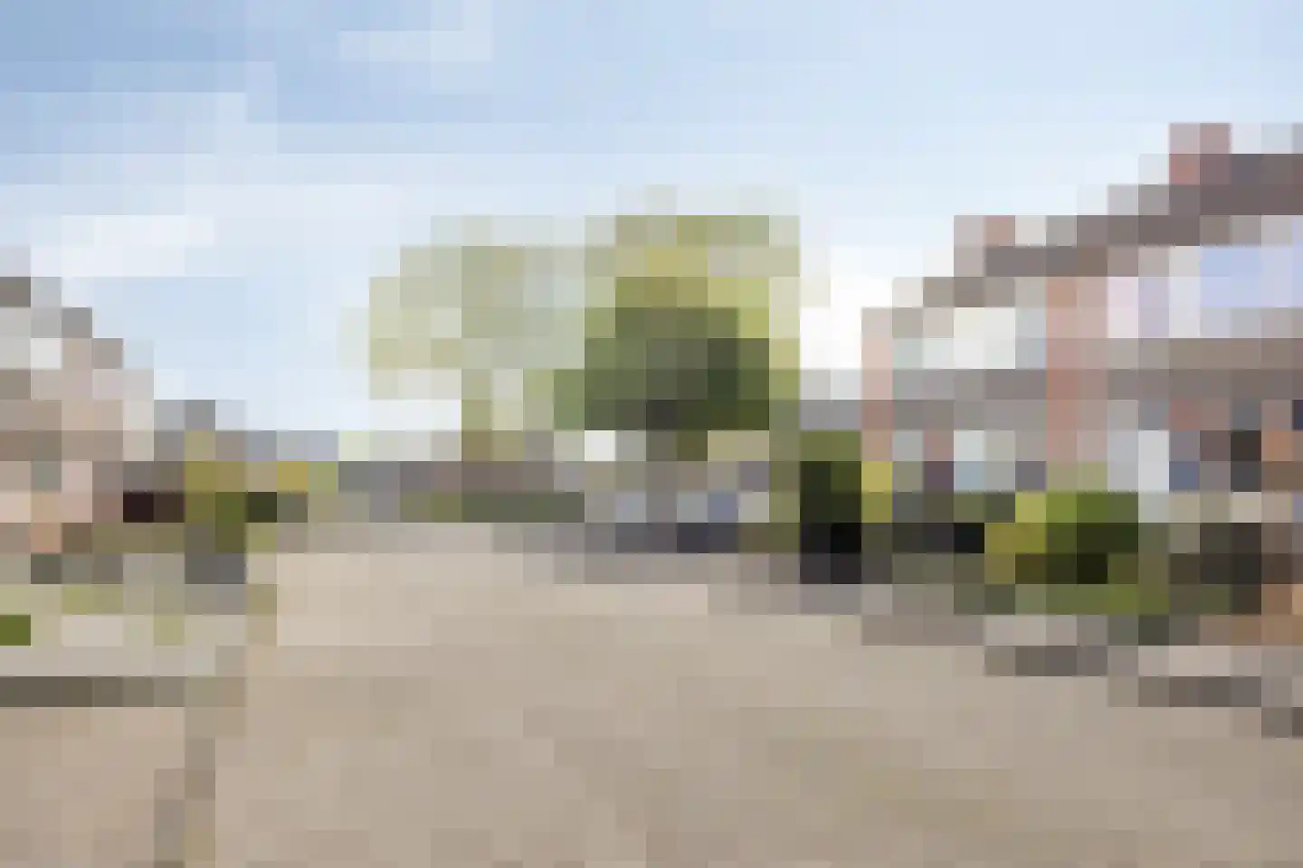 Posthoorn 25 Barger-Compascuum thumbnail 42