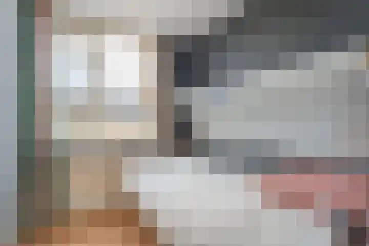 Posthoorn 33 Barger-Compascuum thumbnail 23