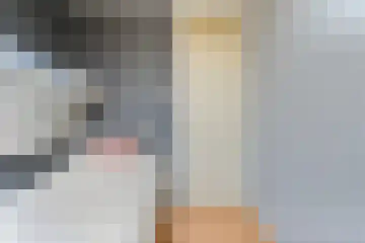 Posthoorn 33 Barger-Compascuum thumbnail 24