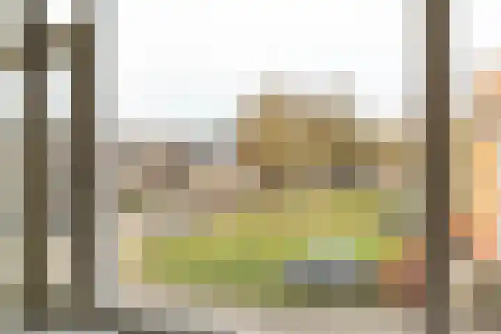 Posthoorn 33 Barger-Compascuum thumbnail 25