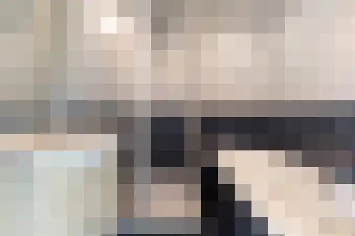 Posthoorn 33 Barger-Compascuum thumbnail 26
