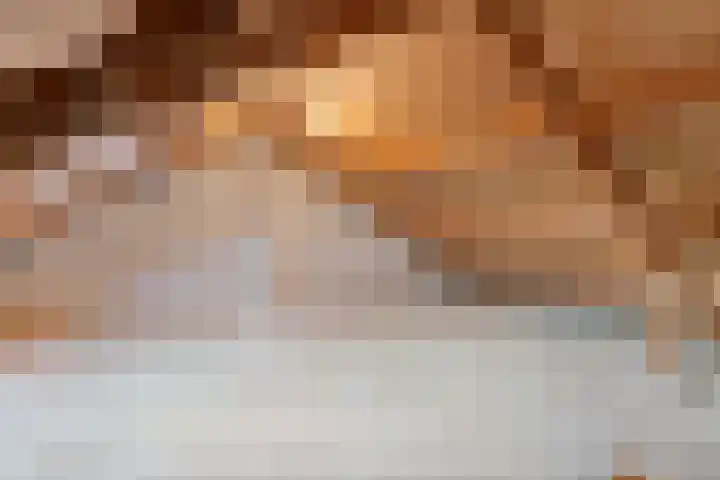 Posthoorn 33 Barger-Compascuum thumbnail 29