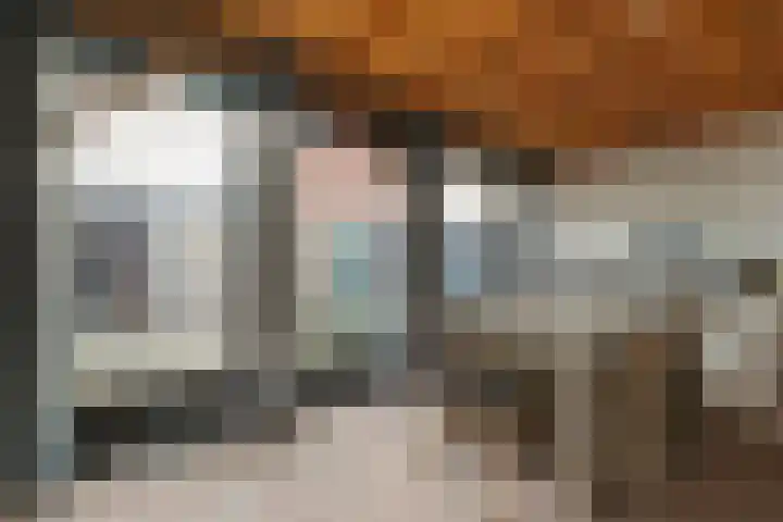 Posthoorn 33 Barger-Compascuum thumbnail 31