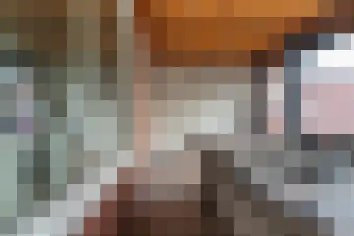Posthoorn 33 Barger-Compascuum thumbnail 32