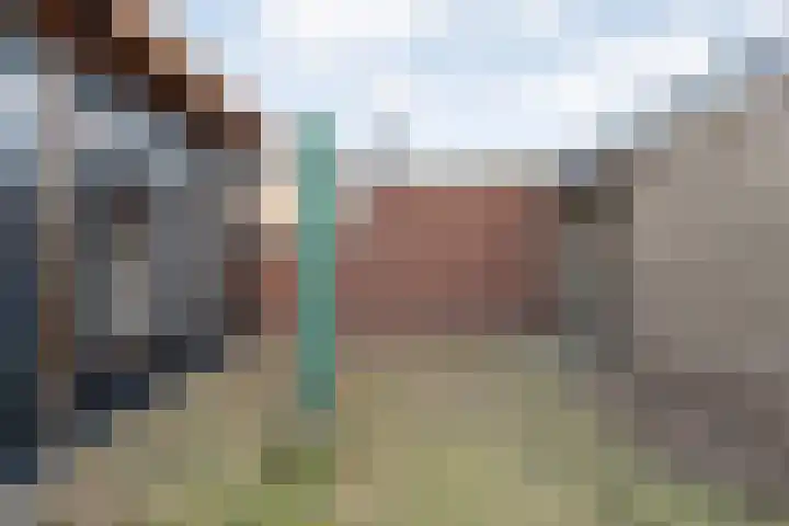 Posthoorn 33 Barger-Compascuum thumbnail 35