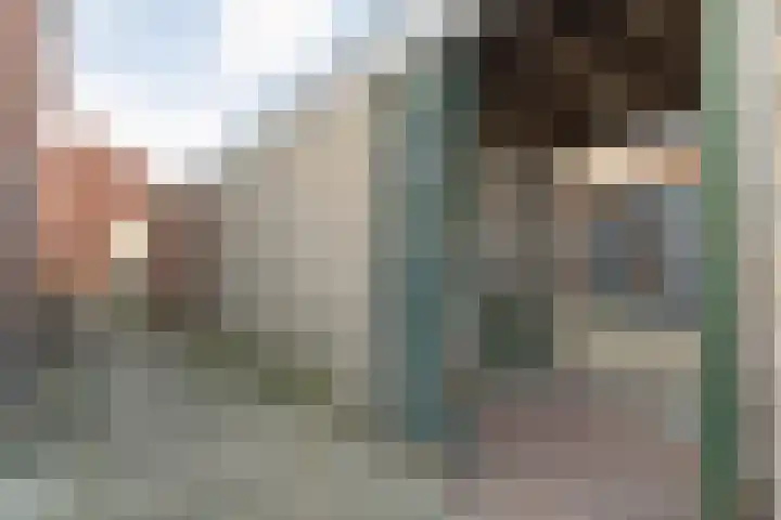 Posthoorn 33 Barger-Compascuum thumbnail 37