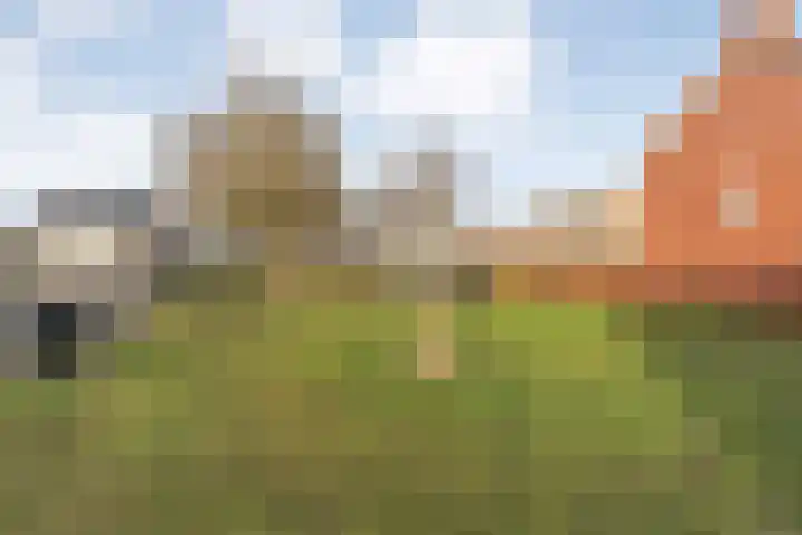 Posthoorn 33 Barger-Compascuum thumbnail 38