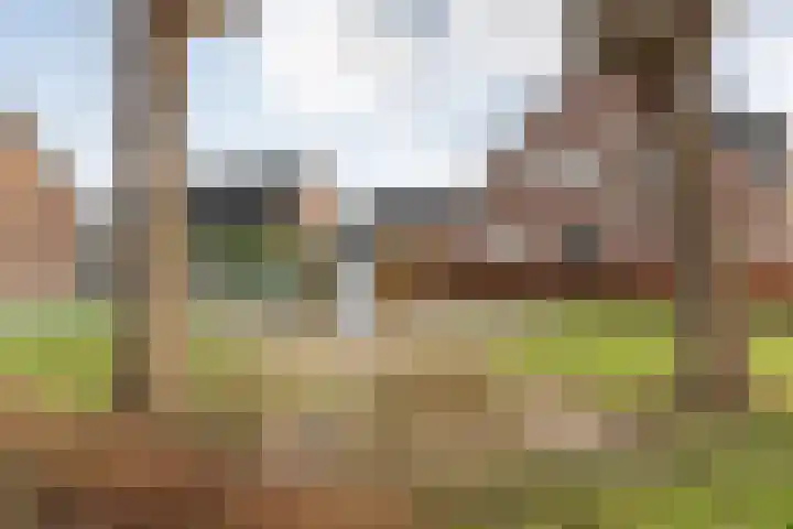 Posthoorn 33 Barger-Compascuum thumbnail 40
