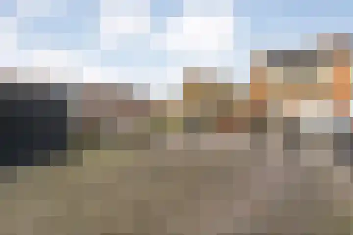 Posthoorn 33 Barger-Compascuum thumbnail 41