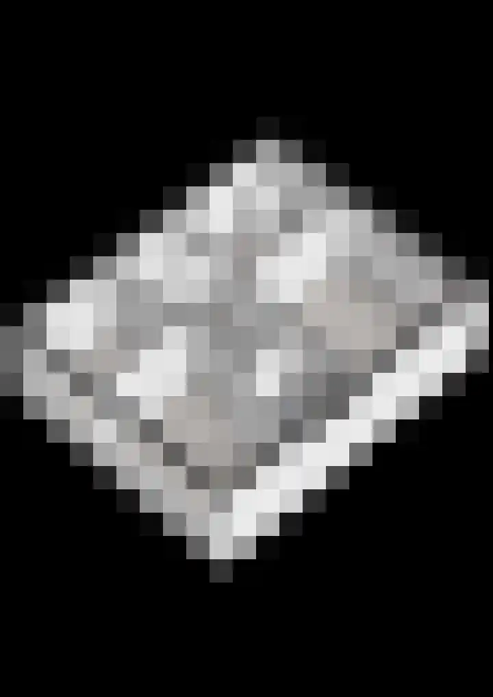 Posthoorn 33 Barger-Compascuum thumbnail 47