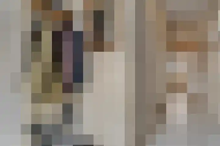 Posthoorn 33 Barger-Compascuum thumbnail 5