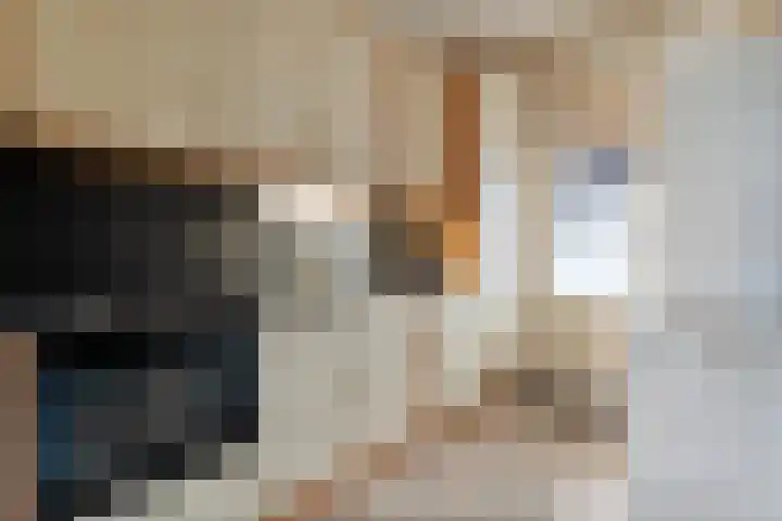 Posthoorn 33 Barger-Compascuum thumbnail 8
