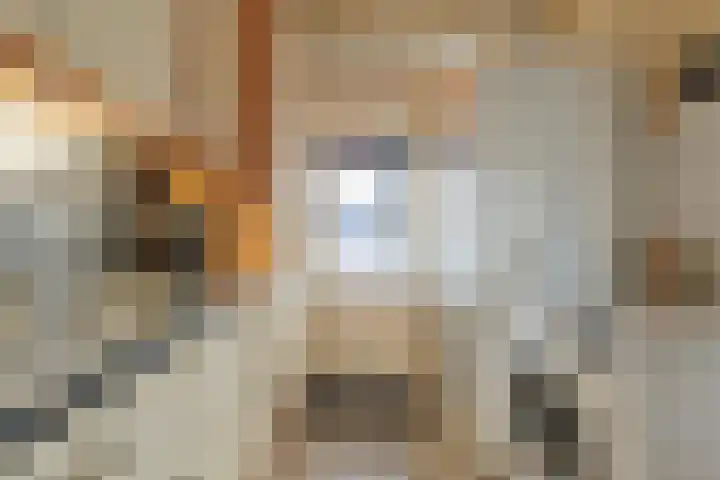 Posthoorn 33 Barger-Compascuum thumbnail 9