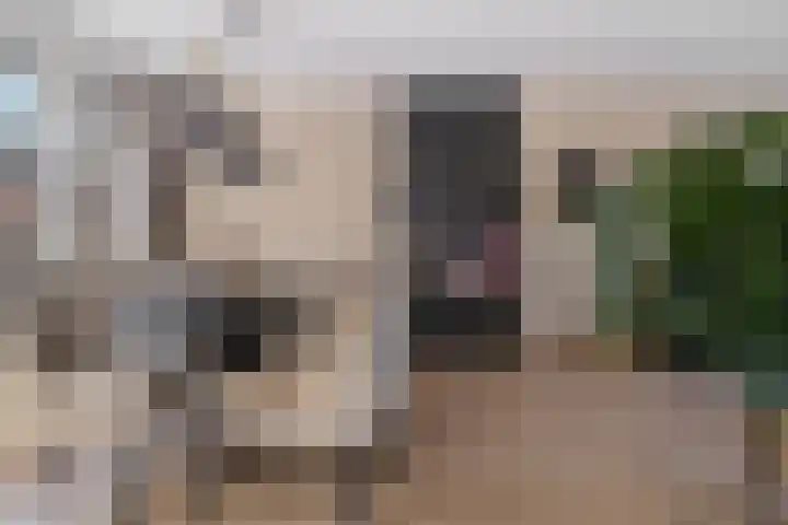 Posthoorn 39 Barger-Compascuum thumbnail 10