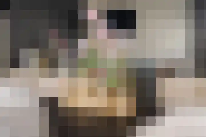 Posthoorn 39 Barger-Compascuum thumbnail 11