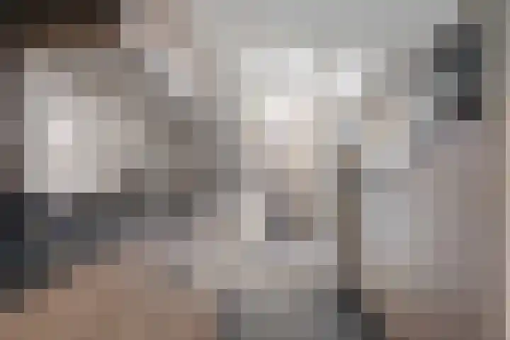 Posthoorn 39 Barger-Compascuum thumbnail 16