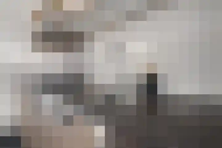 Posthoorn 39 Barger-Compascuum thumbnail 17