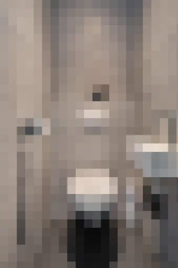 Posthoorn 39 Barger-Compascuum thumbnail 21