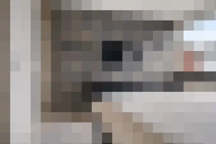 Posthoorn 39 Barger-Compascuum thumbnail 24