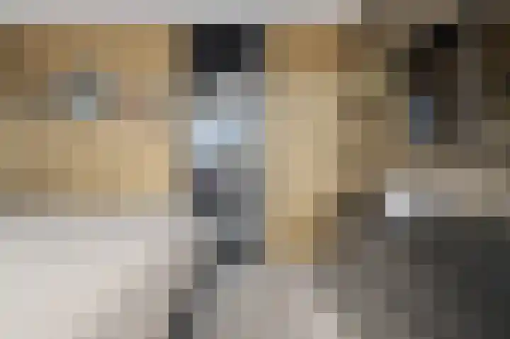 Posthoorn 39 Barger-Compascuum thumbnail 26