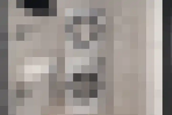 Posthoorn 39 Barger-Compascuum thumbnail 33