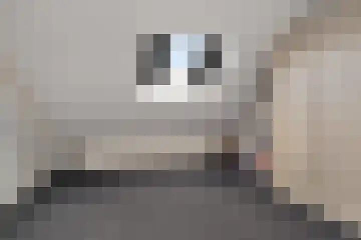 Posthoorn 39 Barger-Compascuum thumbnail 36