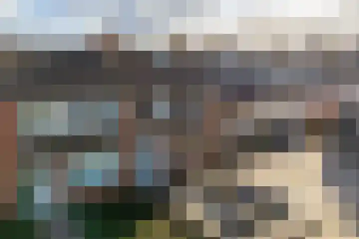Posthoorn 39 Barger-Compascuum thumbnail 43