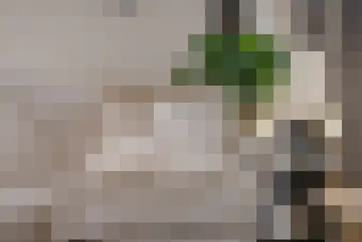 Posthoorn 39 Barger-Compascuum thumbnail 8