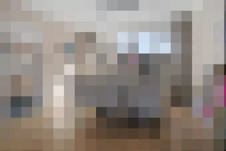 Posthoorn 39 Barger-Compascuum thumbnail 9
