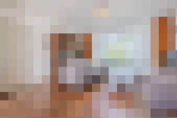 Posthoorn 4 Teteringen thumbnail 11