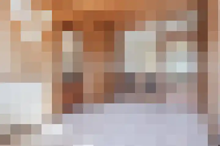 Posthoorn 4 Teteringen thumbnail 21