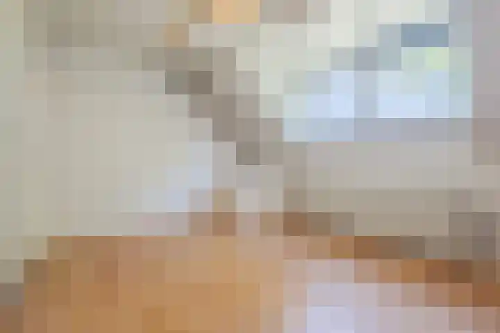 Posthoorn 4 Teteringen thumbnail 34