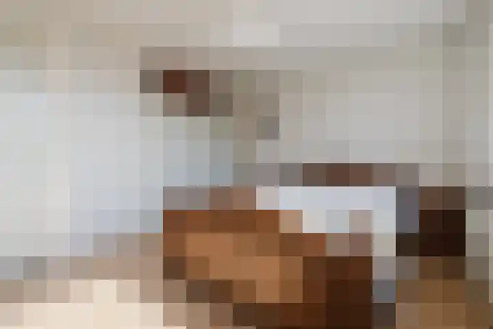 Posthoorn 4 Teteringen thumbnail 37