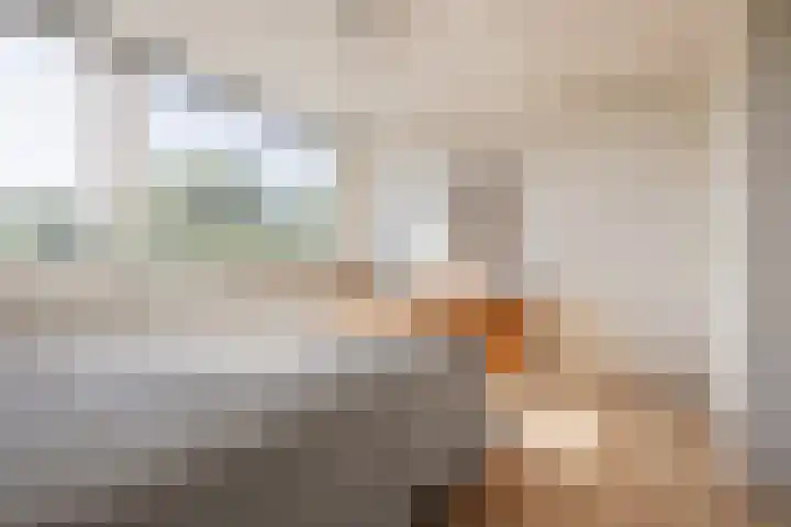 Posthoorn 4 Teteringen thumbnail 38