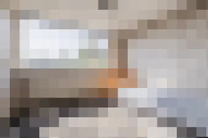 Posthoorn 4 Teteringen thumbnail 39