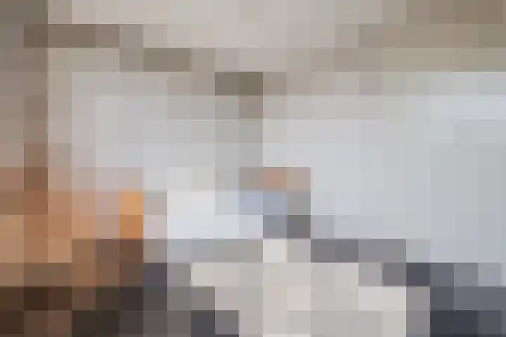 Posthoorn 4 Teteringen thumbnail 40