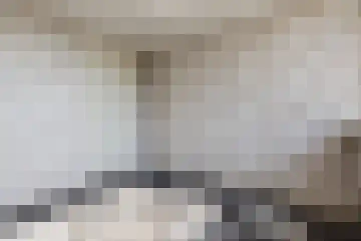 Posthoorn 4 Teteringen thumbnail 41
