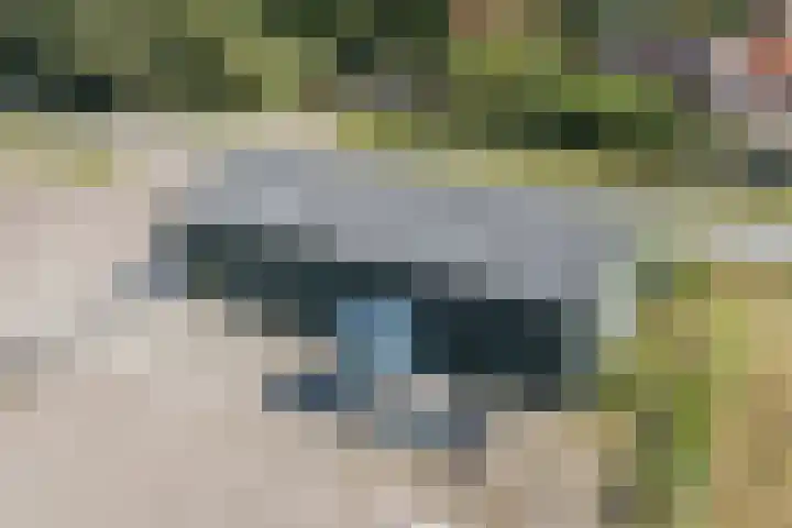 Posthoorn 4 Teteringen thumbnail 51
