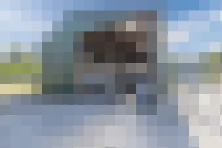 Posthoorn 4 Teteringen thumbnail 53
