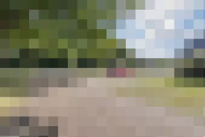 Posthoorn 4 Teteringen thumbnail 61