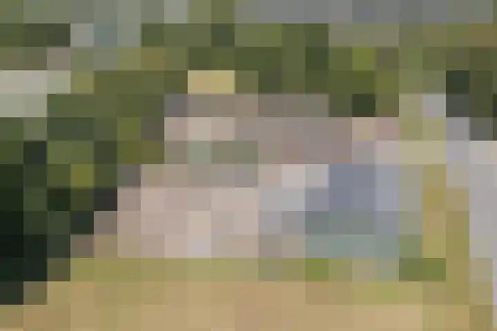 Posthoorn 4 Teteringen thumbnail 63