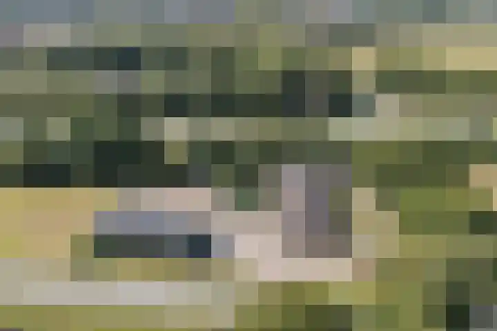 Posthoorn 4 Teteringen thumbnail 65