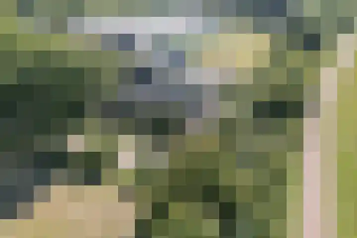 Posthoorn 4 Teteringen thumbnail 67