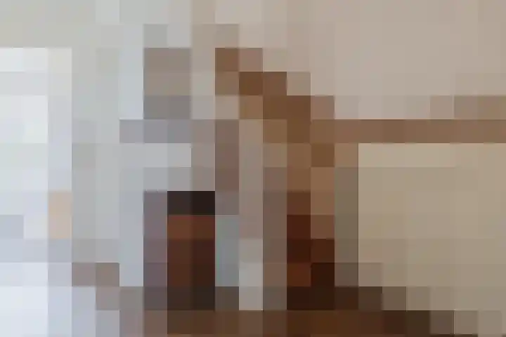 Posthoorn 4 Teteringen thumbnail 7