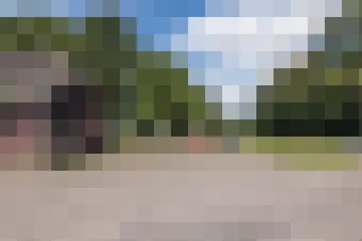 Posthoorn 4 Teteringen thumbnail 70